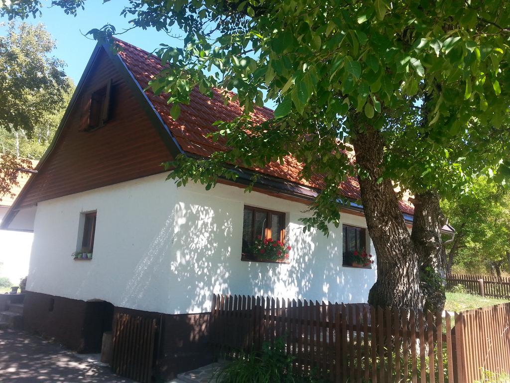 Holiday Home Rizvan City Brusane Exterior foto
